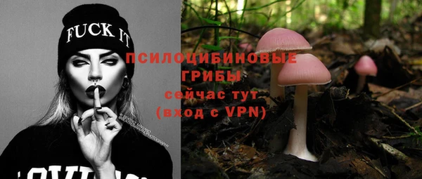 Альфа ПВП Протвино