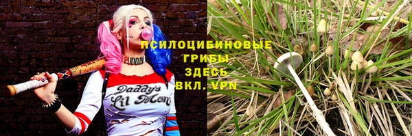 спиды Приозерск