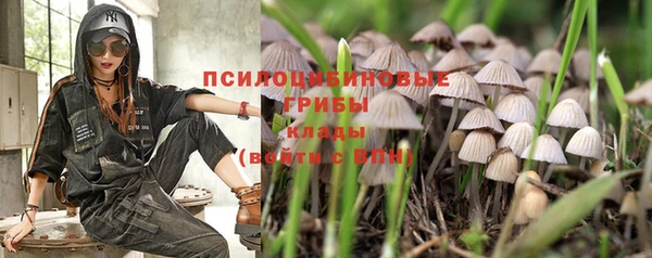 спиды Приозерск