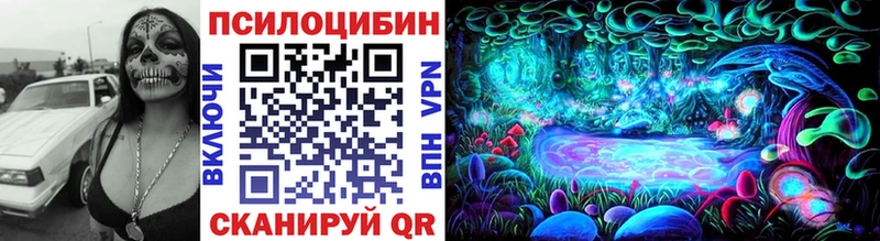 как найти закладки  Волхов  Галлюциногенные грибы мухоморы 